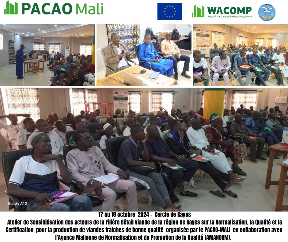 PacaoMali's tweet photo. Atelier de renforcement des capacités des acteurs de la Filière Bétail- Viande de la Région de #Kayes organisé du 17 au 18 Oct. 2024 au Conseil des cercles de Kayes par le @PacaoMali en collaboration avec l'@AMANORM_MALI .
@UEauMali 
@WACOMP_ECOWAS 
@elevage_pecheML 
@Apcammali https://t.co/NvvT1dMLQ9