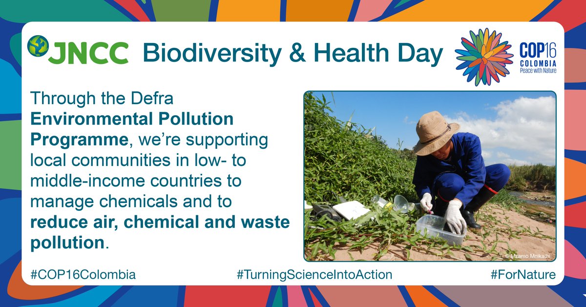 JNCC_UK's tweet photo. It’s #BiodiversityAndHealthDay today at #COP16Colombia!

Environmental pollution is one of the most serious global challenges that affects the natural environment &amp; #HumanHealth ❤️‍🩹 worldwide.

🧵... https://t.co/DFkz4irpTU