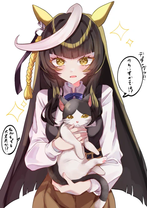 🐈 