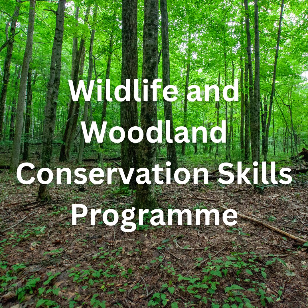 NewbattleTweets tweet media