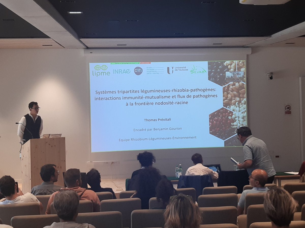 [#PhD] 🧑‍🎓Félicitations <a href="/PrevitaliT/">Thomas Prévitali</a> pour ta thèse❗
 ▶️ Systèmes tripartites légumineuse-rhizobia-pathogène:interactions immunité-mutualisme &amp; flux de pathogènes à la frontière nodosité-racine
▶️ Le jury #Claire_Fourrey #Valérie_Hocher <a href="/aliadellagi/">Alia Dellagi</a> <a href="/jacquet_chris/">christophe jacquet</a> <a href="/GourionBenjamin/">Benjamin</a>