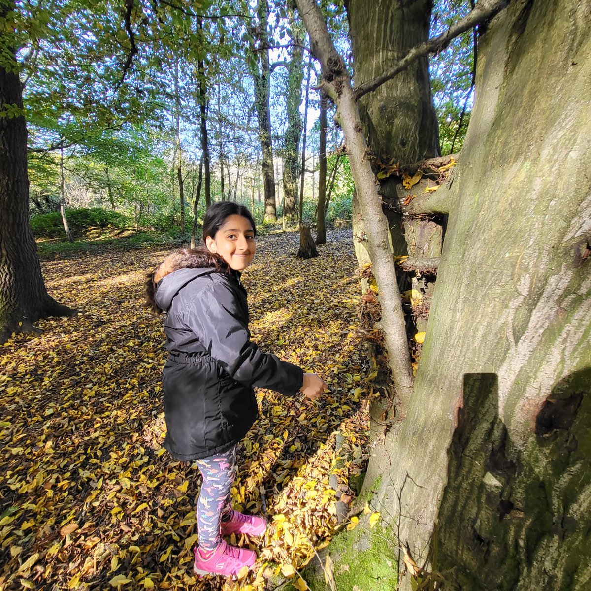 Learning survival skills this morning (and how to toast a marshmallow)