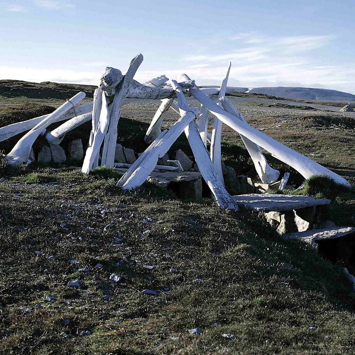 Ancient History Hit tweet media