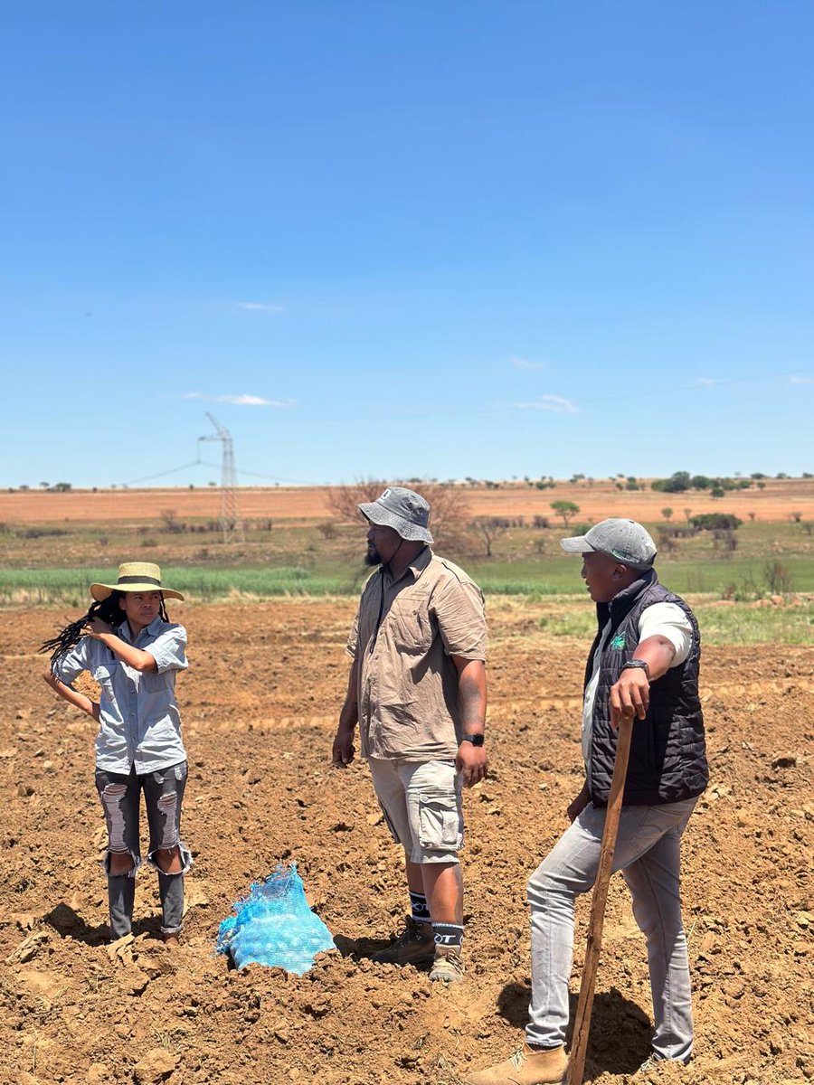 potatoes_za's tweet photo. #Potatoes SA in KwaMhlanga, Mpumalanga for a small grower planting project. 

The aim is to share knowledge, skills and cost effective ways to plant potatoes for food security. These projects also equip small grower farmers with skills that will help them grow their farms. https://t.co/t4poguAO9H