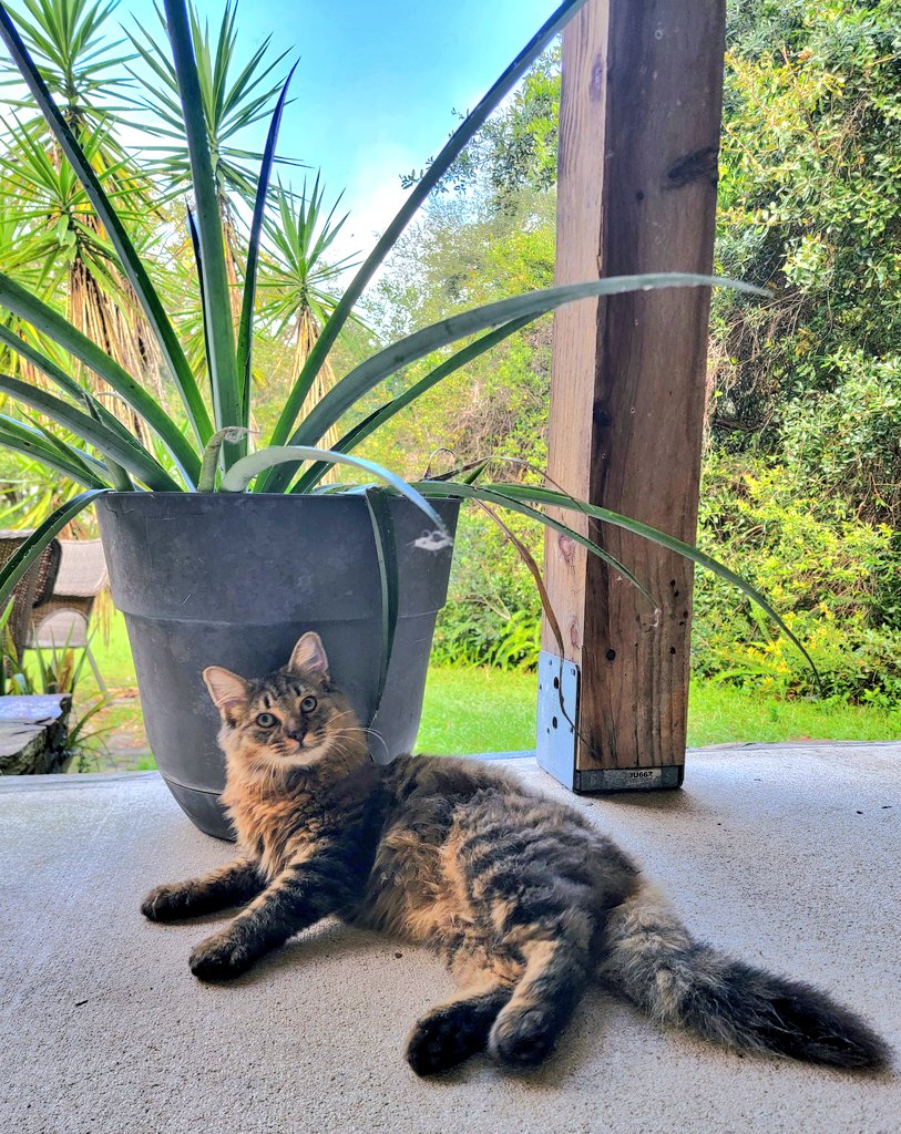 Good morning ☀️ 
~Bunchy