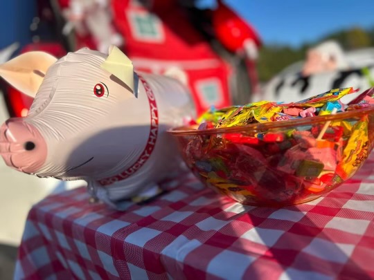 SFAgentAmyBrown's tweet photo. Thank you to Ithica Elementary School for letting us be a part of your Trail of Treats earlier this week! We will be in Bowdon on Sunday (4-6 p.m.) and at Pioneer Ford in Bremen next Tuesday for their massive Trunk or Treat (5:30-8 p.m.). Hope to see you there! #LikeAGoodNeighbor https://t.co/YHROOIiIfZ