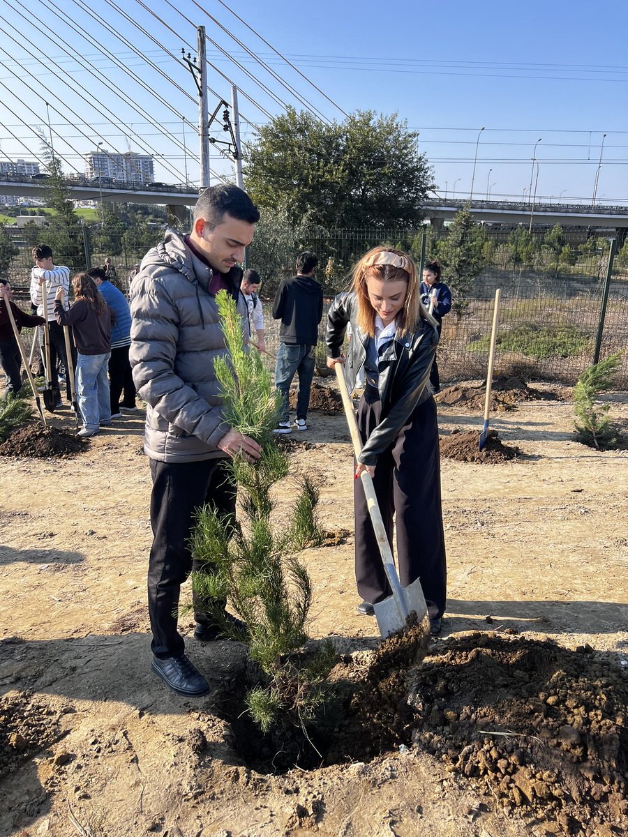 bafadarovi's tweet photo. As a sapling takes root in the soil, hope rises to the skies. ๐ฟ The trees we plant today are the green breath of tomorrow. Together, let's combat climate change and create a healthier planet for future generations. #GreenDreams #LifeToNature #COP29 ๐ https://t.co/jgfY9YZSZk