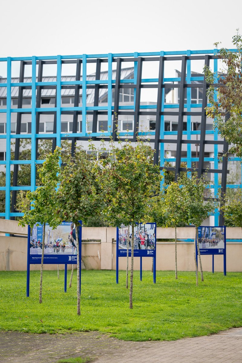 Pays de la Loire tweet media