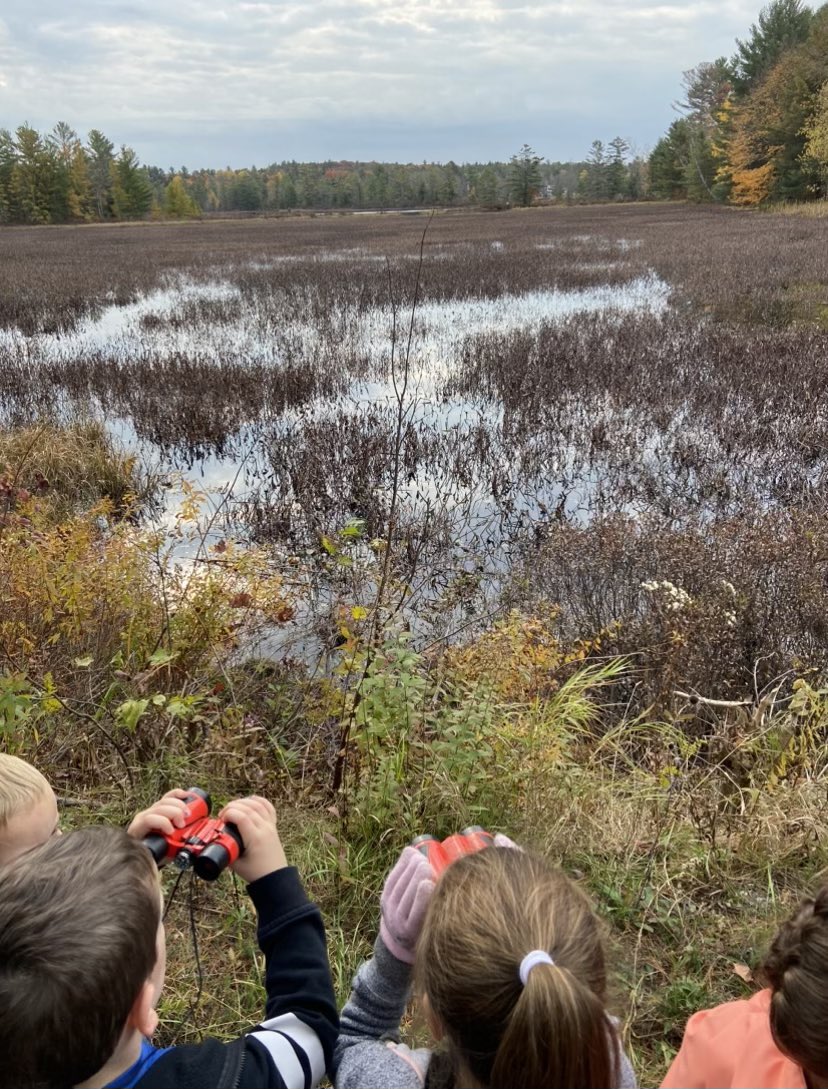 R Creasor (@creasorr) on Twitter photo Kinder Ss <a href="/MuskokaFallsPS/">Muskoka Falls PS</a> using binoculars to look at the species in the wetlands on #TakeMeOutsideDay
#TLDSBTakeMeOutside
<a href="/TLDSB/">TLDSB</a> <a href="/TLDSB_EY/">TLDSB_EY</a>
<a href="/TLDSB_FNIM/">TLDSB_FNIM</a> Kinder Ss <a href="/MuskokaFallsPS/">Muskoka Falls PS</a> using binoculars to look at the species in the wetlands on #TakeMeOutsideDay
#TLDSBTakeMeOutside
<a href="/TLDSB/">TLDSB</a> <a href="/TLDSB_EY/">TLDSB_EY</a>
<a href="/TLDSB_FNIM/">TLDSB_FNIM</a>