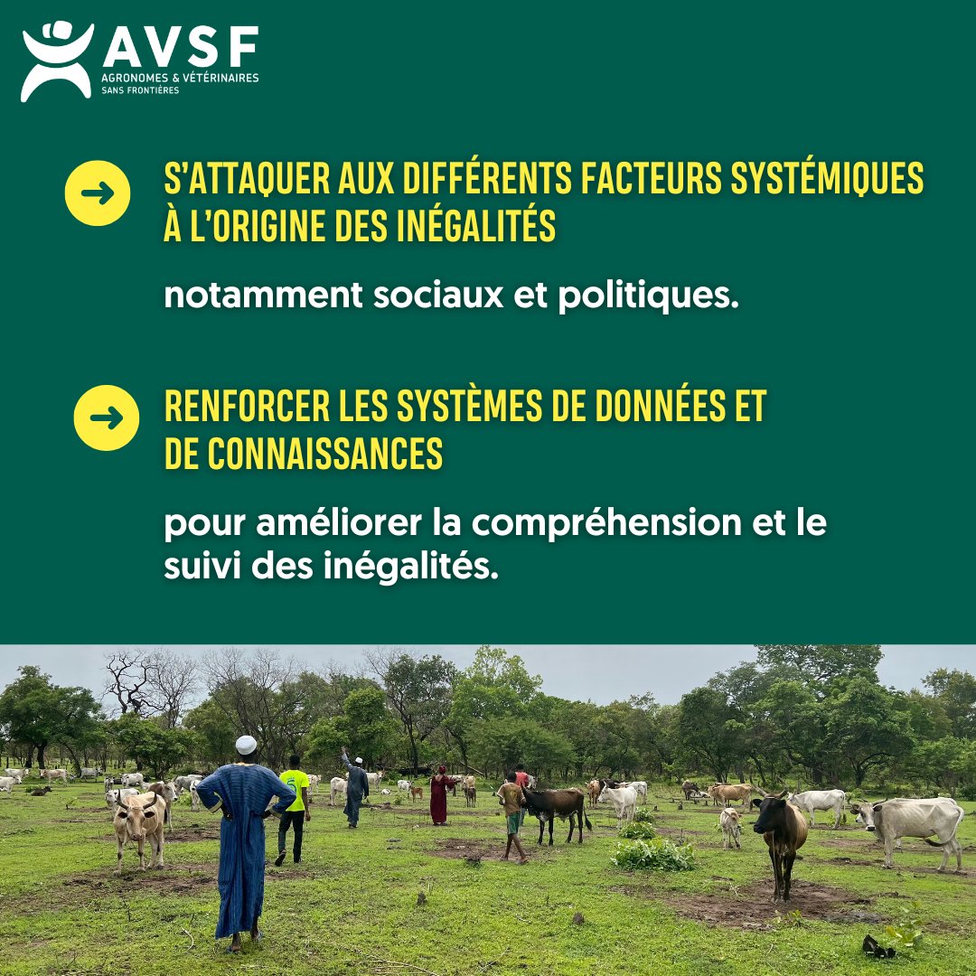🌍 Après un an de négociations, le #CSA a adopté hier les recommandations politiques des Nations Unies sur la réduction des inégalités, principales causes de la faim dans le monde ⤵️