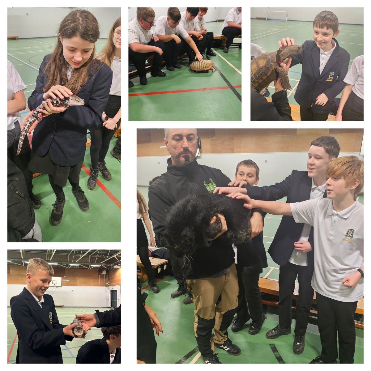 Afon Tâf Humanities (@silver_e_geog) on Twitter photo Fantastic two days with A&S Animal Encounters. Year 8 got to meet some amazing animals linked to our study of tropical rainforests. 🦎🐍🐻🐢🦜
<a href="/AfontafHigh/">Afon Tâf High School</a> <a href="/AfonTafYR8/">Afon Tâf Year 8</a>
#TeamTâf #geography Fantastic two days with A&S Animal Encounters. Year 8 got to meet some amazing animals linked to our study of tropical rainforests. 🦎🐍🐻🐢🦜
<a href="/AfontafHigh/">Afon Tâf High School</a> <a href="/AfonTafYR8/">Afon Tâf Year 8</a>
#TeamTâf #geography