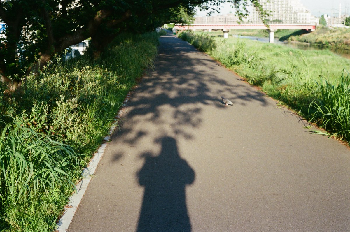 akira_biz's tweet photo. いつ撮ったか忘れた
春くらいかな?
location : shiki-city
taken on Konica IIIA
film : kodak Gold 200
#filmphotography
#filmcamera
#konicaIIIA
#スナップ写真
#街の風景
#東京カメラ部 https://t.co/JTndoAIeuX
