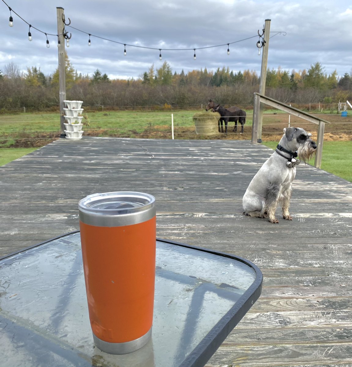 Coffee on the deck in October, I’ll take it. 🎃