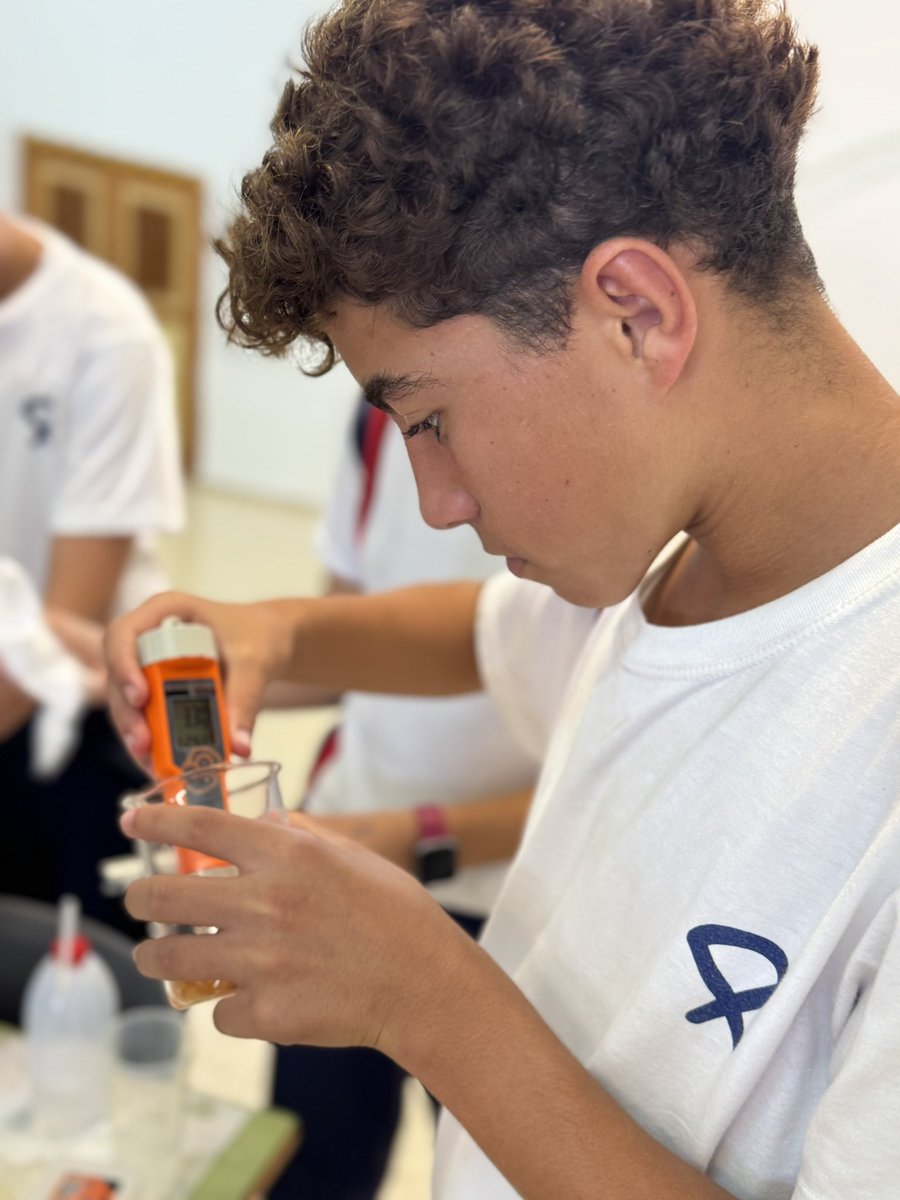 Colegio Santo Domingo tweet media