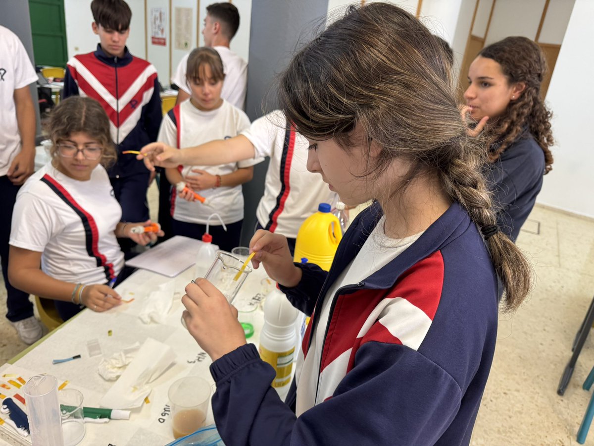 Colegio Santo Domingo tweet media