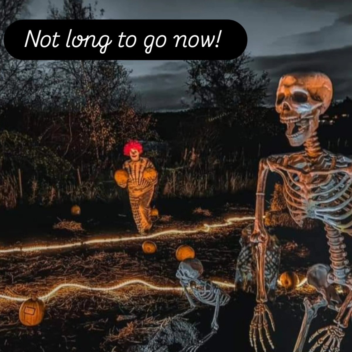 We open at 4pm and all tickets are SOLD OUT! #PumpkinPicking #halloween2024