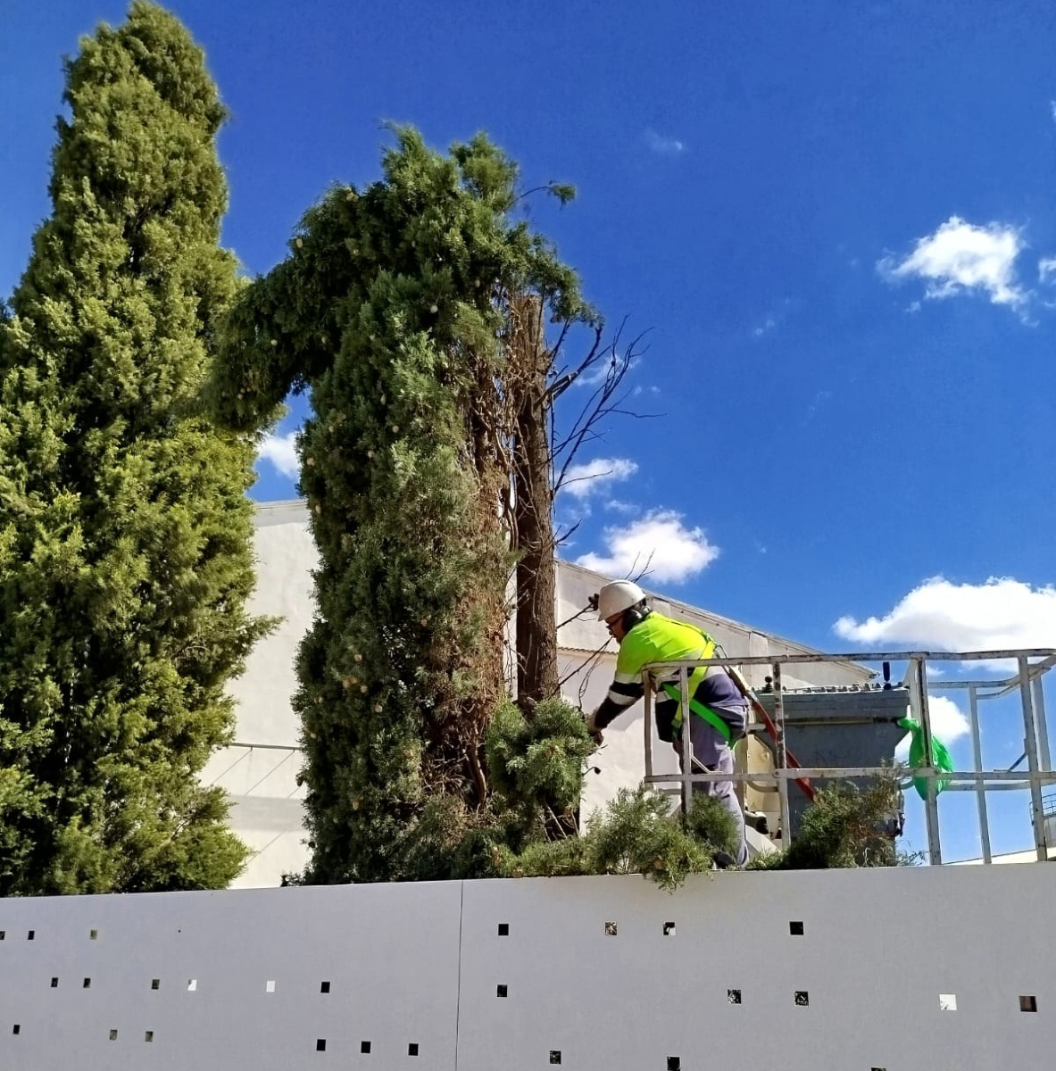 funCADISLA's tweet photo. Otro trabajo gratificante con empresas implicadas activamente con la integración laboral que la Fundación promueve activamente.

#integración #bodegasfundador #fundacioncadisla #tomelloso #jardinería https://t.co/mHJUkdUPqJ