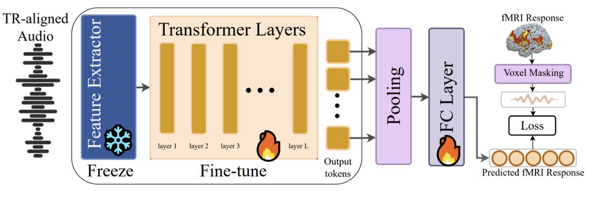 Omer Moussa (@ohmoussa2) on Twitter photo We are so excited to share the first work that demonstrates consistent downstream improvements for language tasks after fine-tuning with brain data!!
Improving semantic understanding in speech language models via brain-tuning
arxiv.org/abs/2410.09230
W/ <a href="/dklakow/">Dietrich Klakow</a>, <a href="/mtoneva1/">Mariya Toneva</a> We are so excited to share the first work that demonstrates consistent downstream improvements for language tasks after fine-tuning with brain data!!
Improving semantic understanding in speech language models via brain-tuning
arxiv.org/abs/2410.09230
W/ <a href="/dklakow/">Dietrich Klakow</a>, <a href="/mtoneva1/">Mariya Toneva</a>