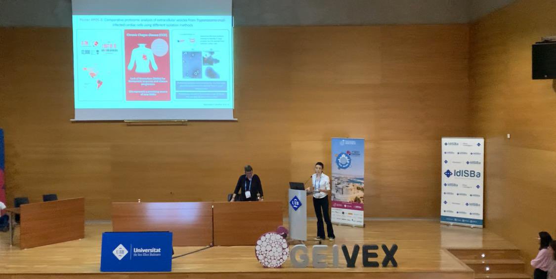 PvrexLab's tweet image. We are thrilled to participate in @GEIVEX annual conference in Palma. So happy for our student, Berta Barnadas-Carceller, who is presenting her work in #Chagas disease and #extracellularvesicles! 🫧🔬👩🏻‍🔬. Great opportunity to network with EVs researchers!

@ISGLOBALorg @GTRecerca