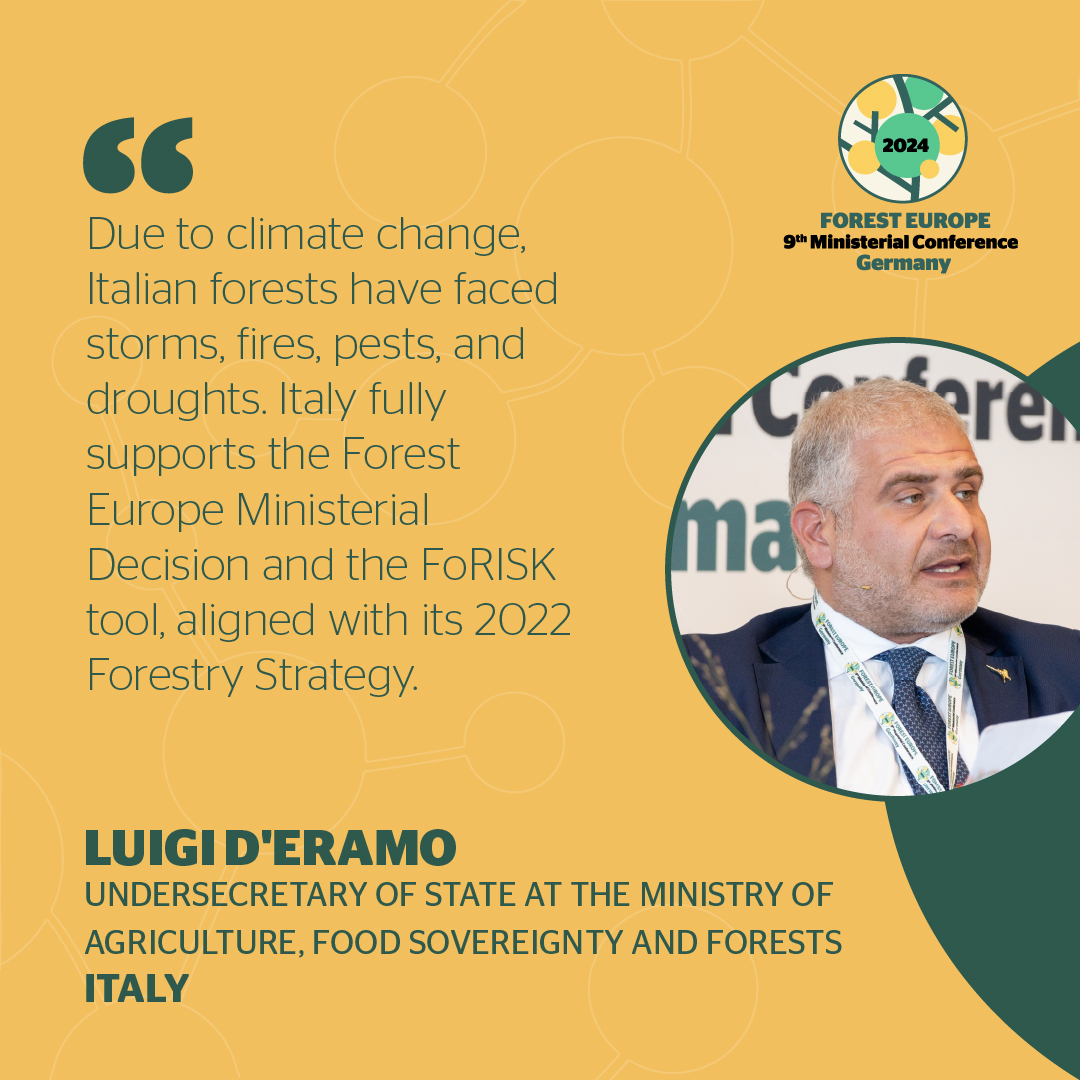 FOREST EUROPE tweet media