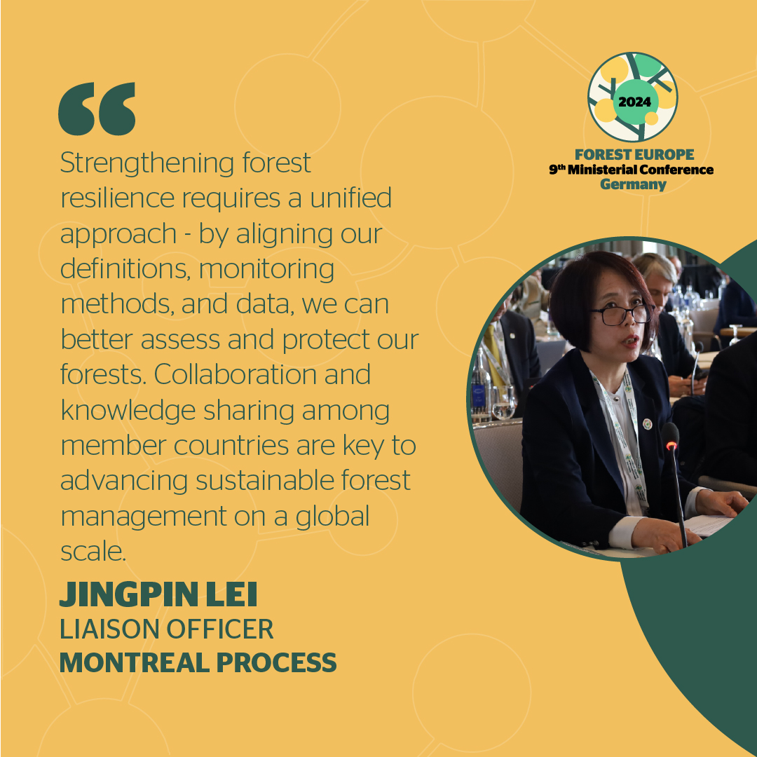 FOREST EUROPE tweet media