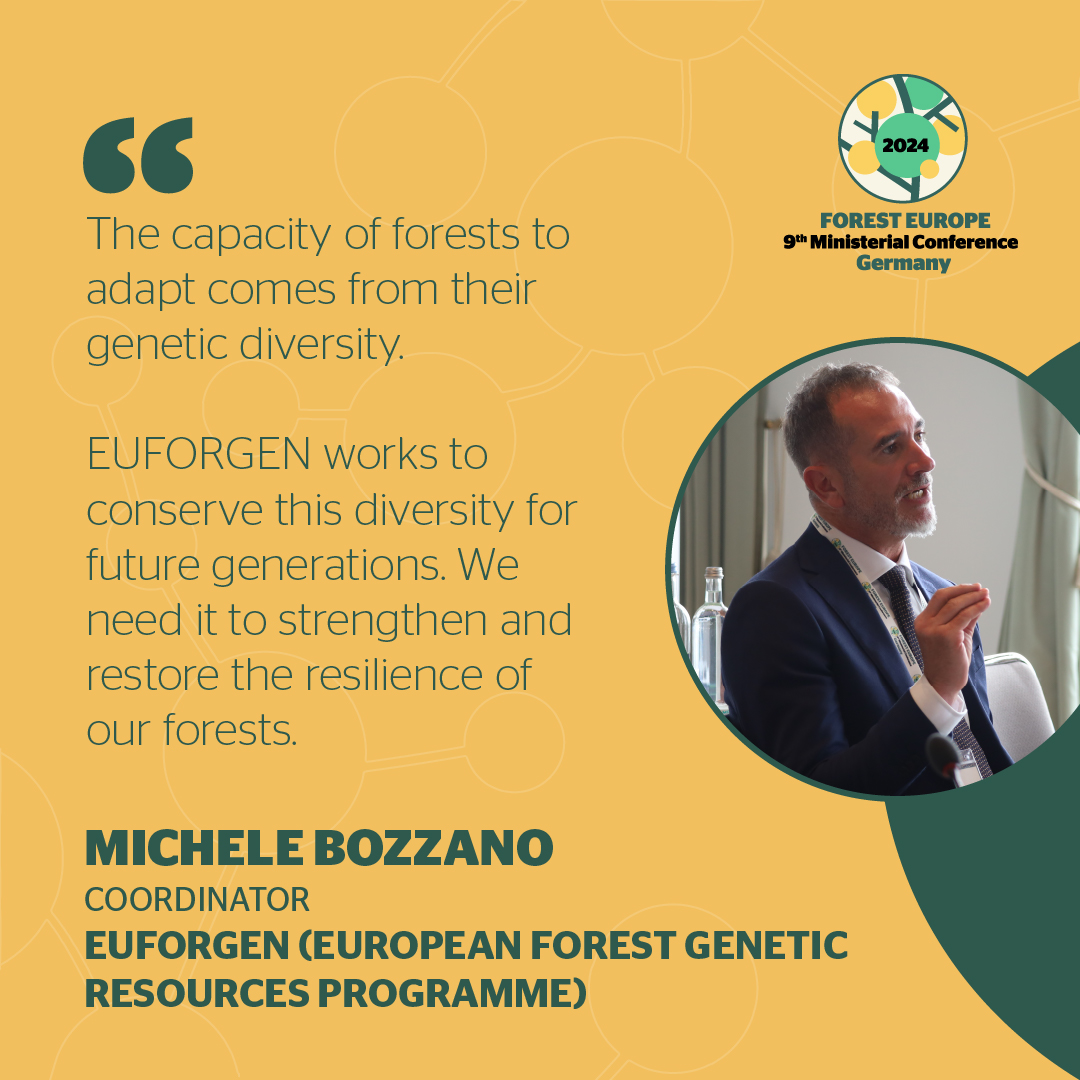 FOREST EUROPE tweet media