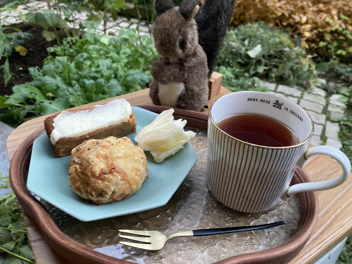 今日もおうちの人のお庭ティータイムに付き合うリス。
本日のメニューはアツアツの紅茶、焼きたてのオニオンチーズスコーンにたっぷりバター、キャロットケーキです。