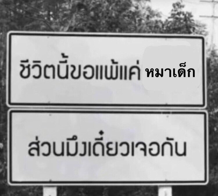 Sunflower (@kikipaloa) on Twitter photo 