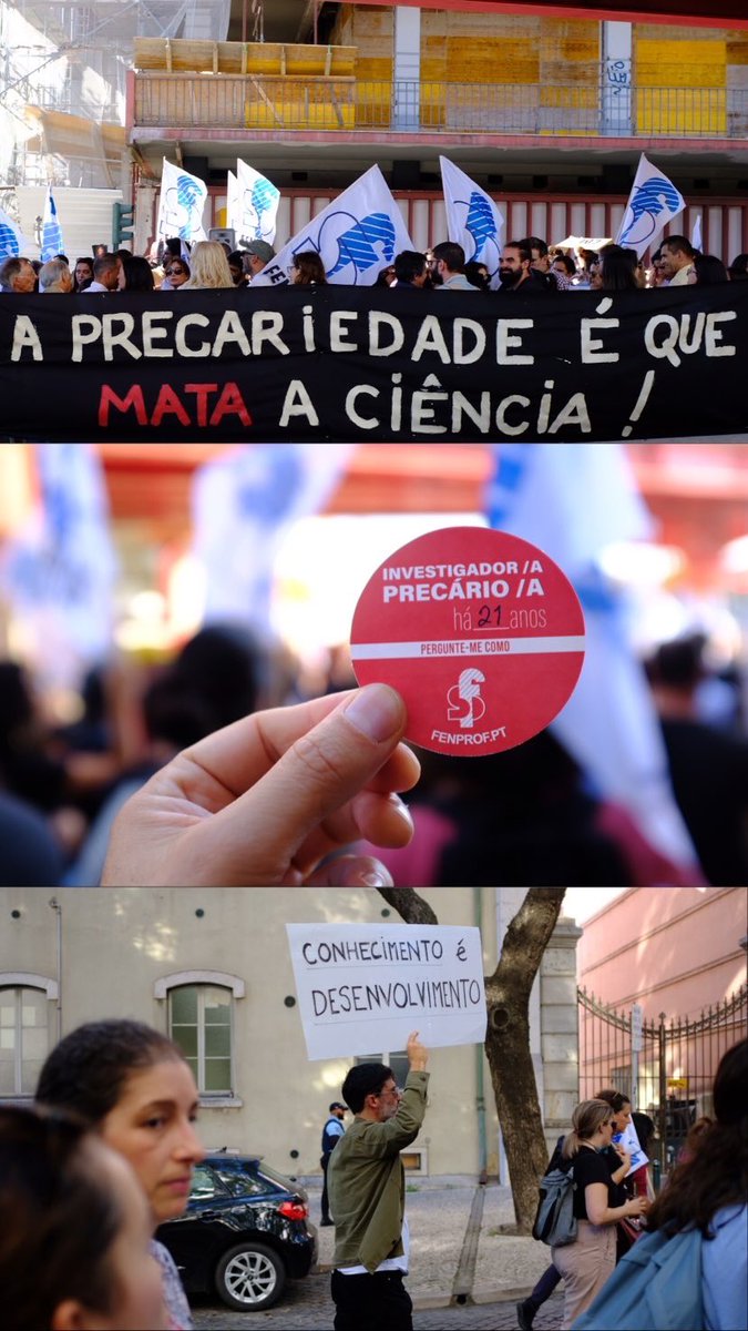 Filipe Martinho tweet media