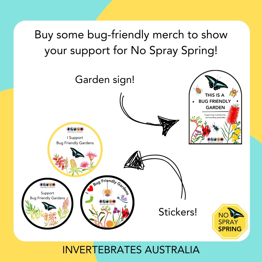 invertsau's tweet image. Support our No Spray Spring Campaign by purchasing some limited edition merch! All profits go towards the education work we're doing in this space. There is also an Invertebrate Friendly Gardens Factsheet that you can download for free! 
#NoSpraySpring #ozinverts #cutiecrawlies