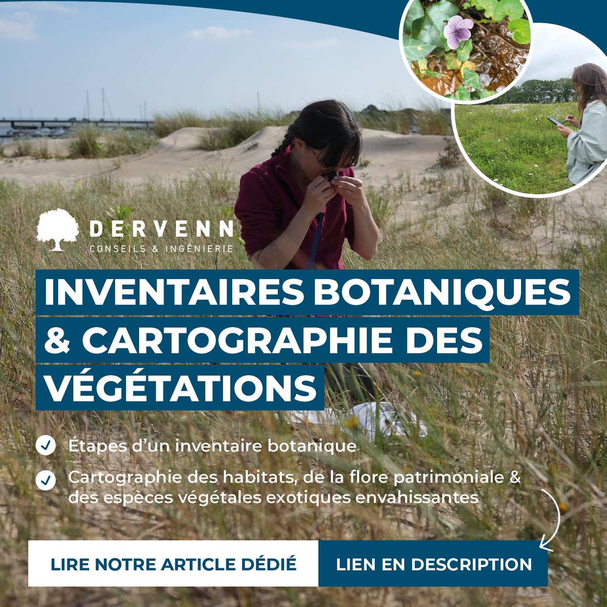 De la phase de préparation d’un inventaire, à la phase de cartographie, en passant par le terrain, découvrez le quotidien d’un chargé d’études botaniste en période d’inventaire : dervenn.com/inventaires-bo…