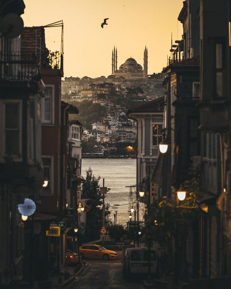 Wannawave (@wannawave) on Twitter photo 