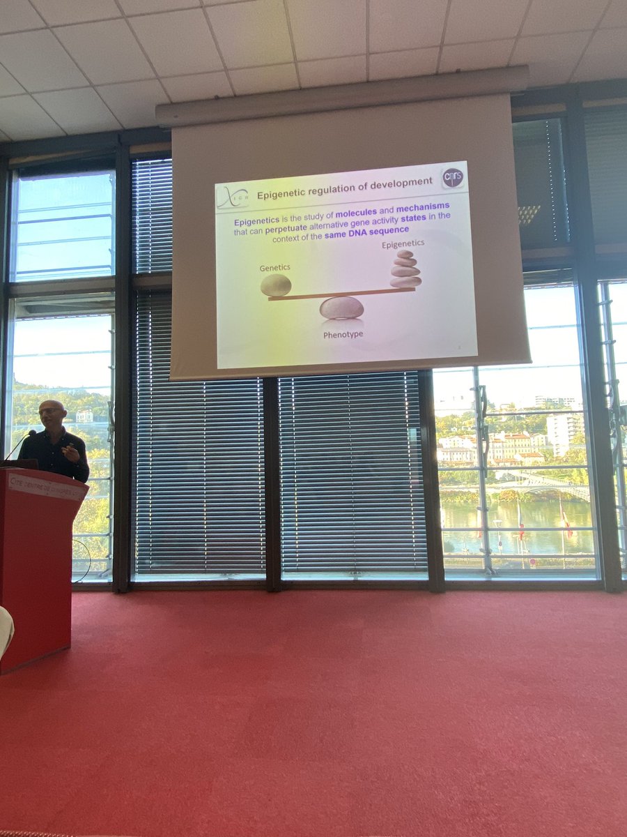 Stéphane Maury (@stephane_maury) on Twitter photo International conference in Ecology and Evolution (Lyon, France) … and epigenetics ! With last symposium of GDR3e😉
<a href="/epiecoevol/">GDR EpiEcoEvol</a>
<a href="/EpicatchS/">Epicatch CA 19125</a> International conference in Ecology and Evolution (Lyon, France) … and epigenetics ! With last symposium of GDR3e😉
<a href="/epiecoevol/">GDR EpiEcoEvol</a>
<a href="/EpicatchS/">Epicatch CA 19125</a>