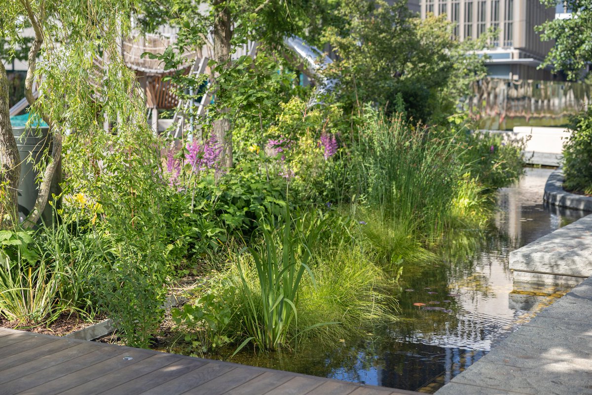 As we strive to create more sustainable environments, the role of metal edging in supporting #BNG strategies has gained significant importance.
 
Explore how Kinley's metal edging solutions can contribute to enhancing biodiversity:
bit.ly/4eN4ZOG