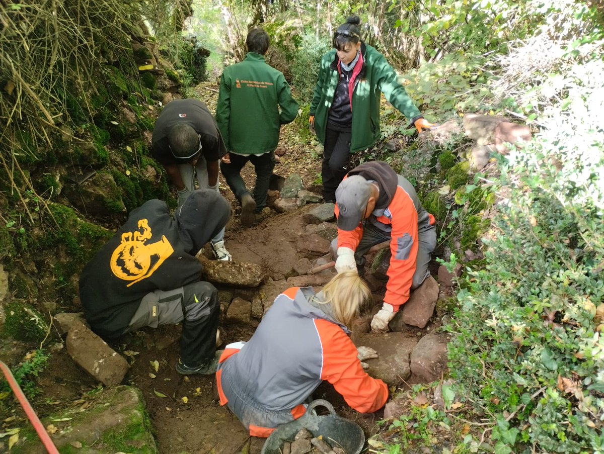 MuseudeCamins's tweet photo. 🌲Dijous i divendres passat vam gaudir de la visita dels estudiants del CFGM en Aprofitament i conservació del medi natural de l'Institut del Pont de Suert! 

Van poder fer una passejada interpretativa pel camins de l'entorn i pràctica en pedra seca. Moltes gràcies! https://t.co/MDQTMMojax