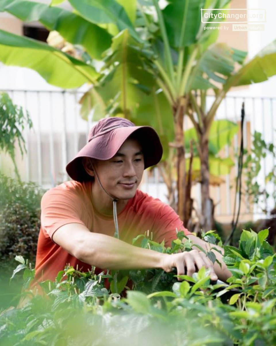 Urban Future. tweet media