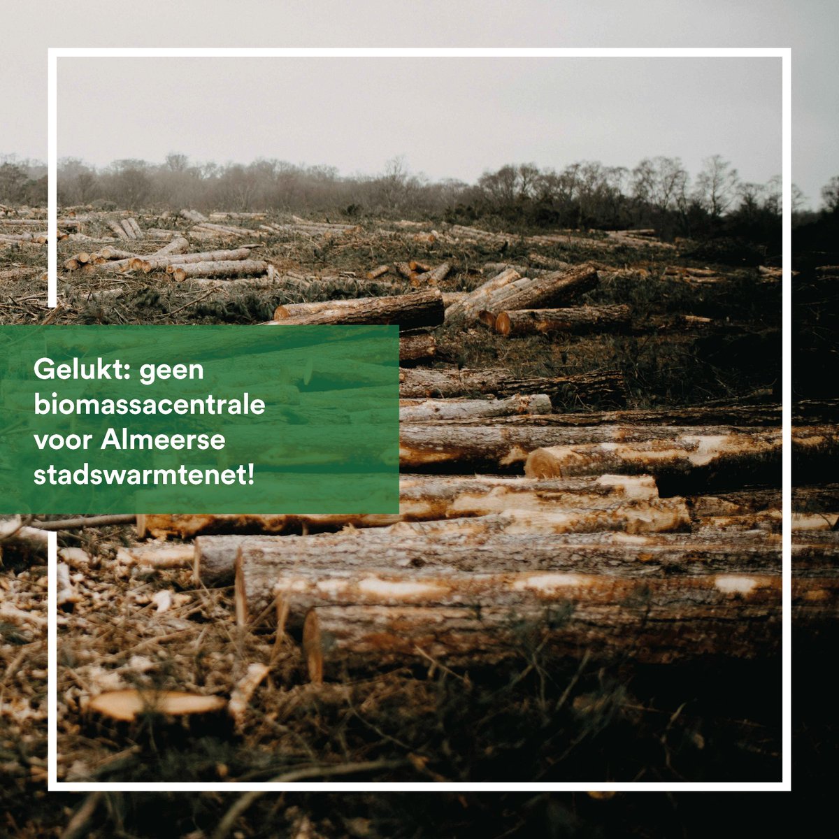 Partij voor de Dieren Almere tweet media