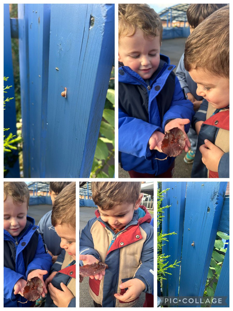Yesterday we found a snail on the playground 🐌 we all took turns to have a look at it and then put it back so it could go home.😁☀️