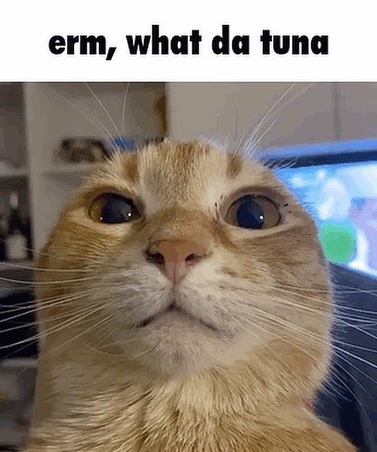 TunaSolana tweet media