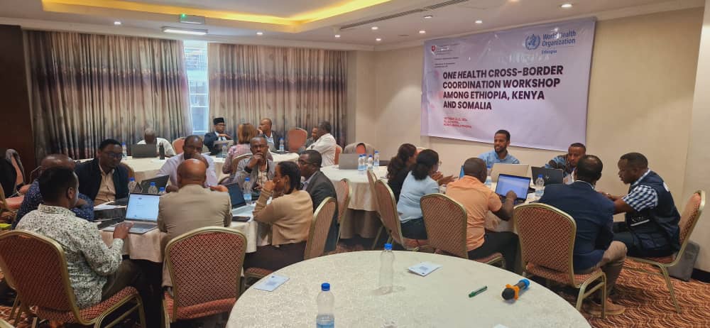 Grateful to represent Somalia at the One Health Cross-Border Coordination Workshop, 22-23 October, in Addis Ababa. Great discussions on strengthening cross border collaboration between Somalia, Kenya, and Ethiopia to tackle zoonotic diseases and shared health threats. Together.