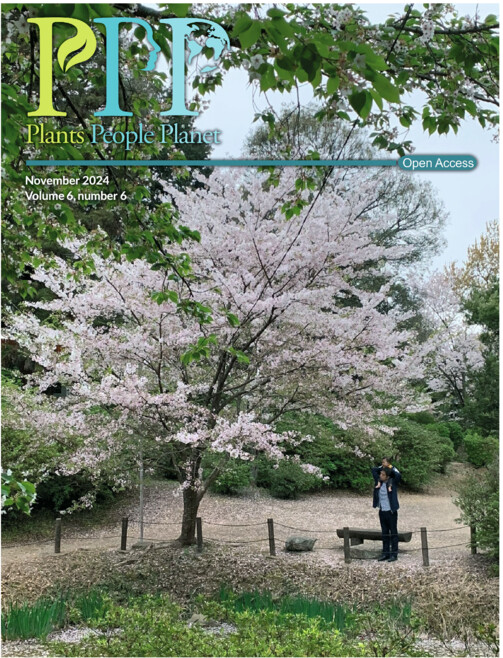 On the cover of our #LatestIssue: A parent shows their child the blossoms of a cherry tree at Kashii-gu Shrine in Fukuoka, Japan.

The iconic Yoshino cherry tree is experiencing shifts in its blossom timing due to climate change: nph.onlinelibrary.wiley.com/doi/10.1002/pp…