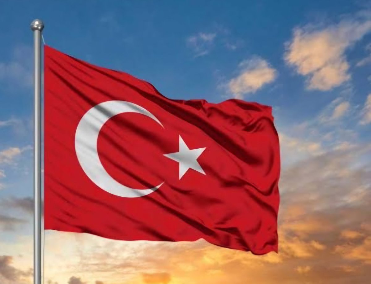 Duygu Yıldız Birden (@minikhamsilos) on Twitter photo 