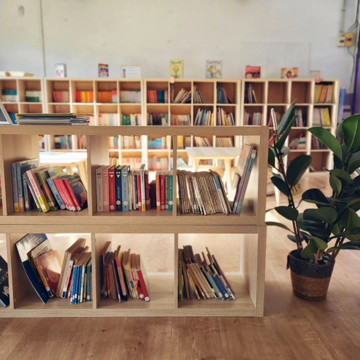 Escola Marià Fortuny tweet media