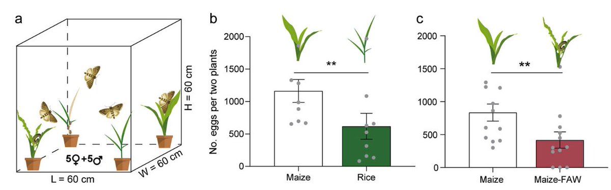 Plant Cell & Environment tweet media