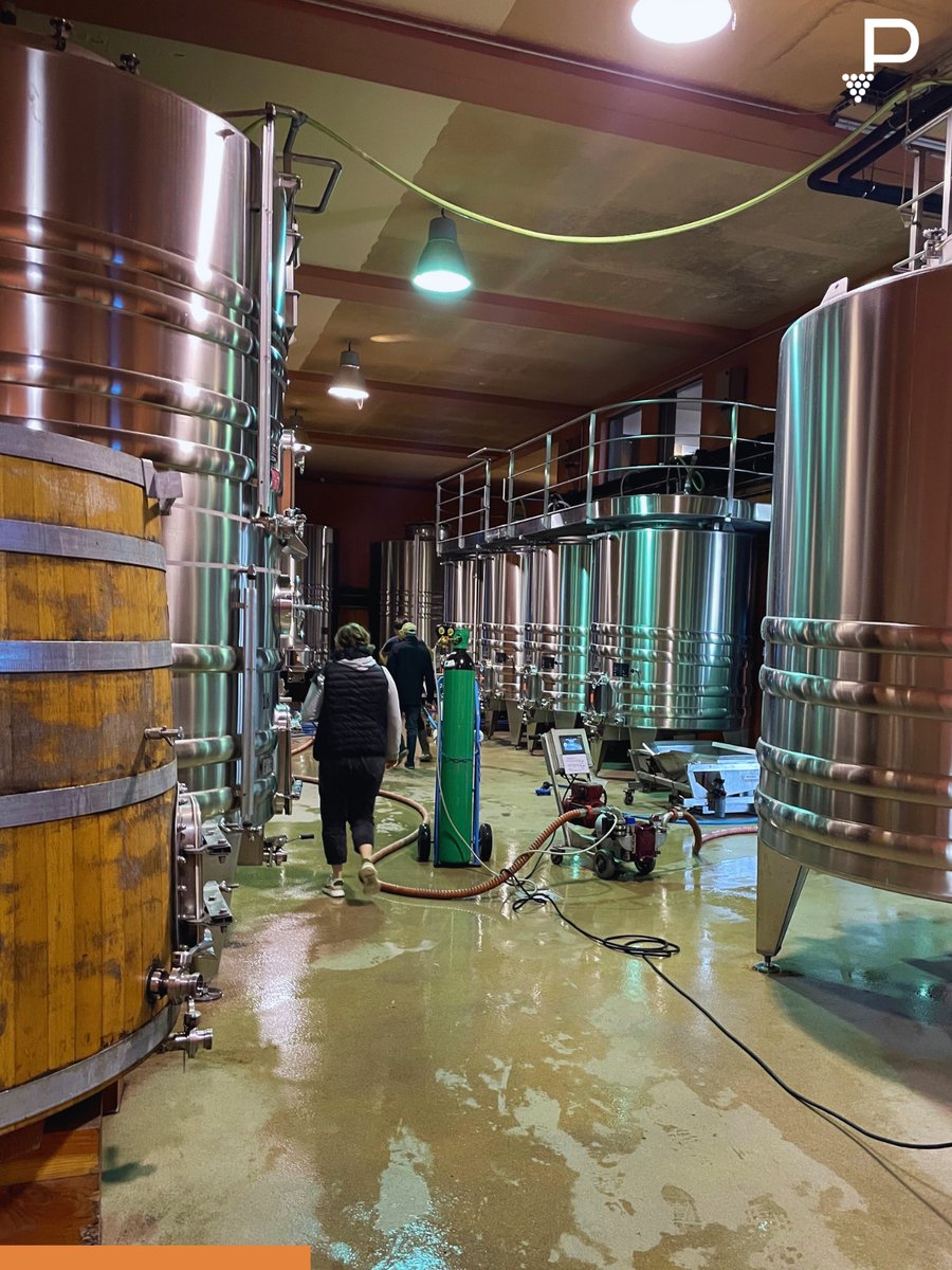 Prochaine étape post vendanges 2024 ? La gestion des vinifications avec le suivi des densités et des températures pour une qualité optimale.
⚠️ L’usage de nos QR Codes est un gain de temps et de fiabilité au quotidien !
Pour plus d’infos 👇🏻
process2wine.com/les-autres-mod…