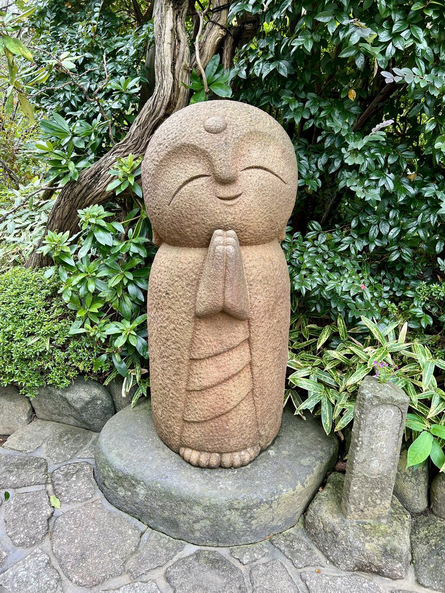 Dan Herman tweet media