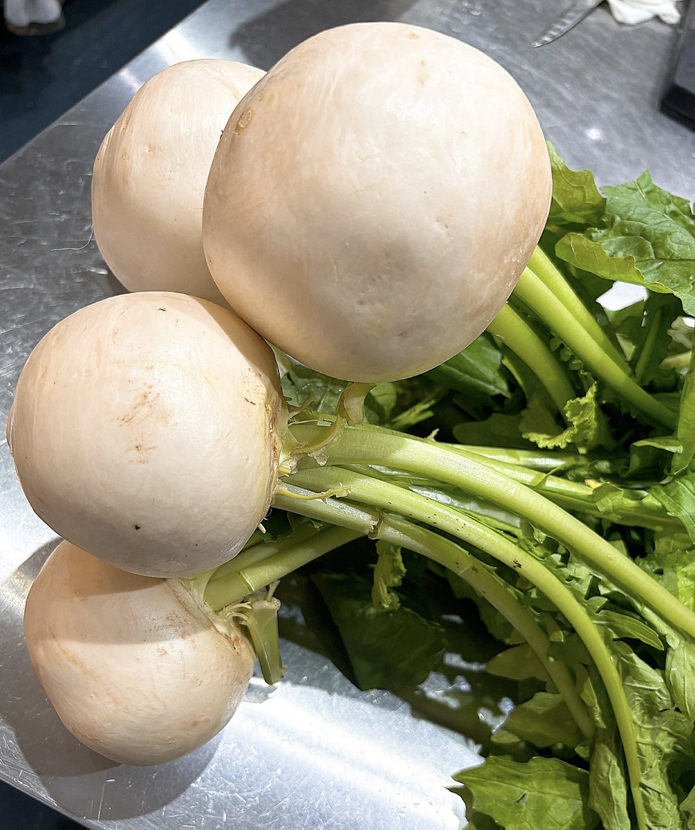 ・
・
熊本県産蕪入荷しました！

11月のランチのスープの食材と
してトリュフと合わせ登場致します

皆様お楽しみにご来店下さいませ