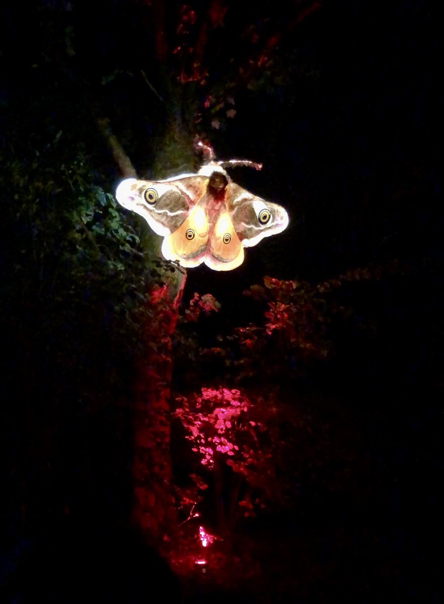 Rochdale Women's Welfare Association tweet media