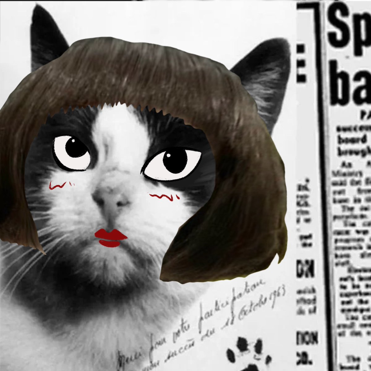 SCAT_Scroll's tweet image. stylish $SCAT on @Scroll_ZKP