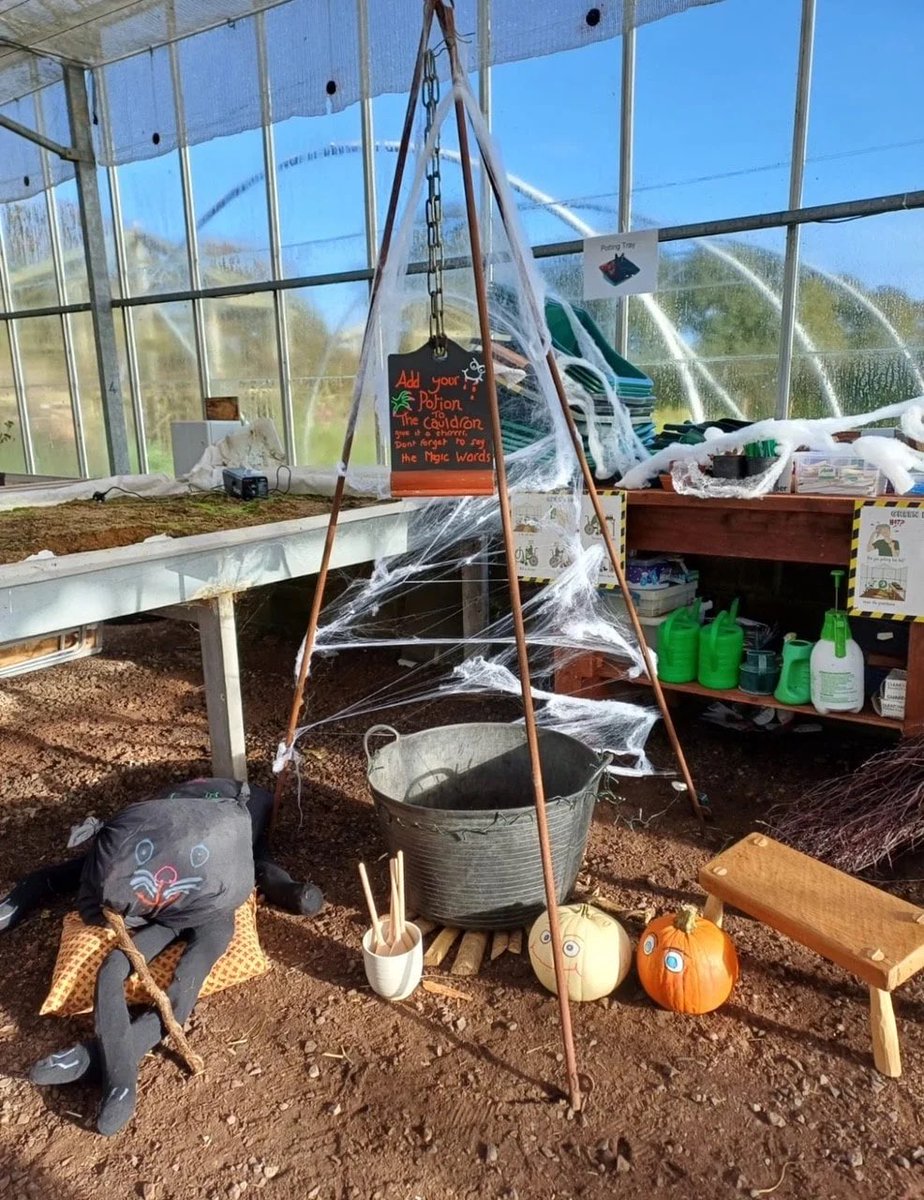 1 week until our Halloween Spooktacular 👻

Join us this half term for a frighteningly good day out. Meet the animals, follow the pumpkin trail, take part in some woodland craft activities and visit our pop up café for some tasty treats.

Tickets: bit.ly/3BkSgnB